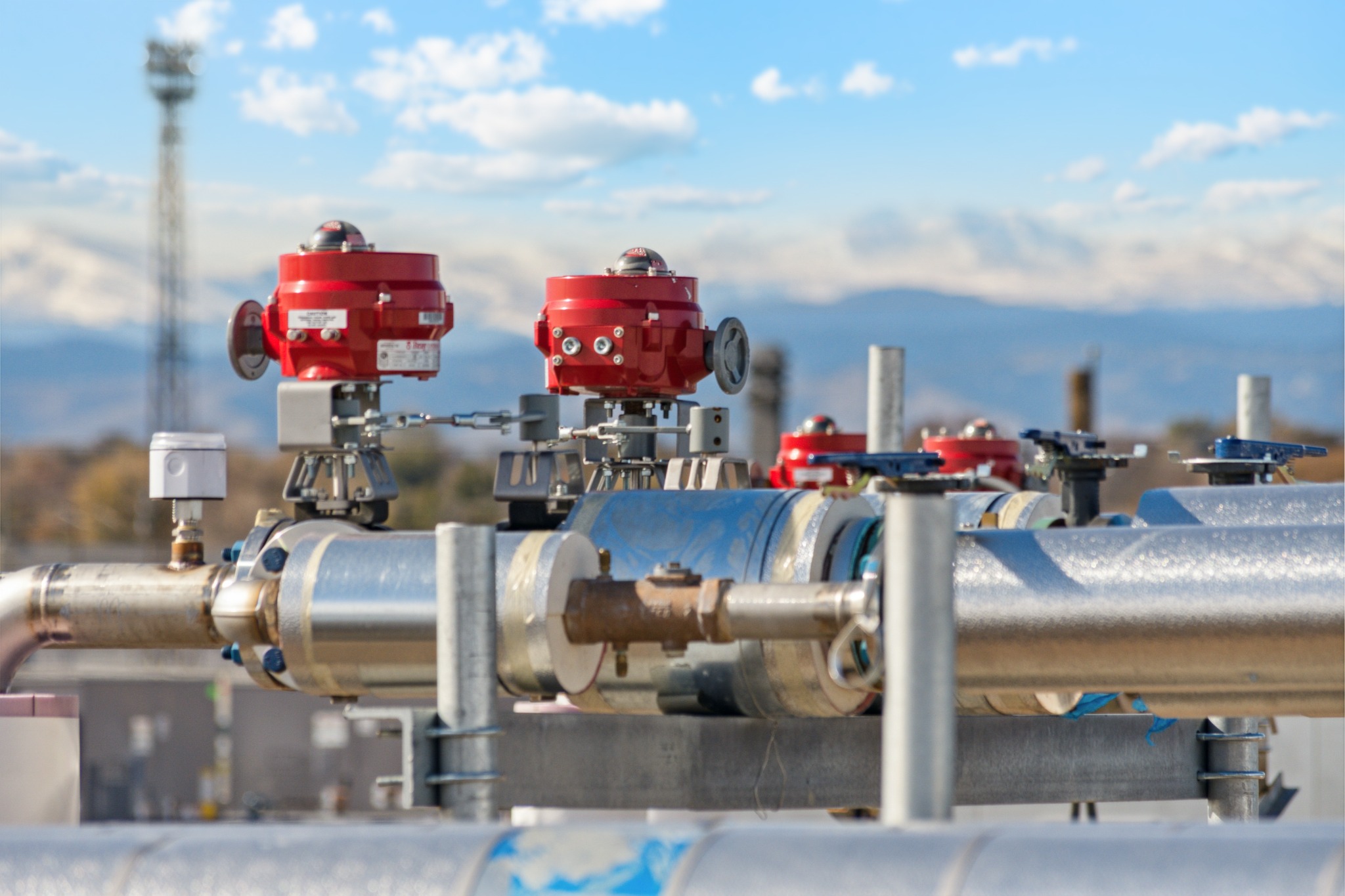 ready foods valve assemblies